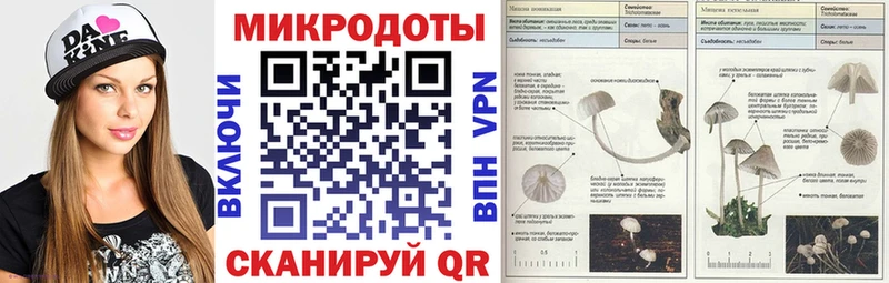 Галлюциногенные грибы Cubensis  Купить где  Гороховец 